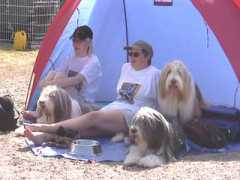 sivut.koti.tpo.fi Petsun