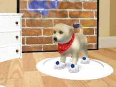 Petza