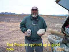 cfmsinc.org Peverini