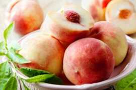 zuhausewohnen.de Pfirsich