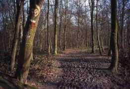 victorhugo.lomme.free.fr Phalempin