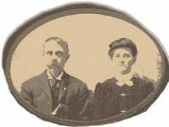 tngenweb.org Phebia