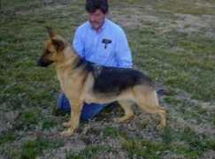 tacoragsd.com Phenna