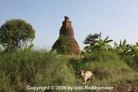 chimburi.com Phikun