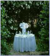 pizzazzerie.com Phronsie