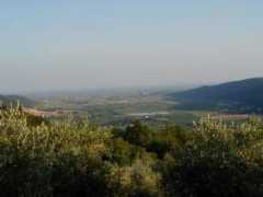Pianura