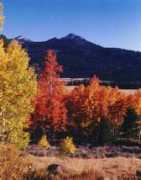 tahoehorsetrails.com Picketts