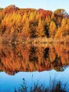 dnr.wi.gov Pielsticker