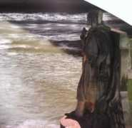 losviajeros.com Pieo