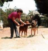 jadotville.free.fr Pilaet