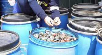 lasprovincias.es Pilas