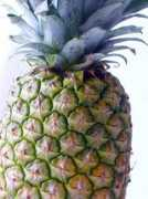 rgbstock.com Pinapple