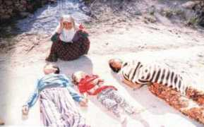 blog.radikal.com.tr Pinarcik