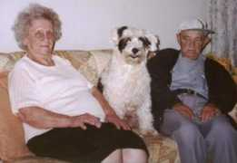 luzdebrodowski.com.br Pinduca