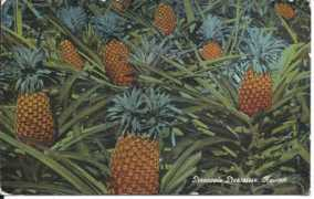 thepostcard.com Pinez