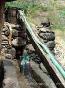Pingar