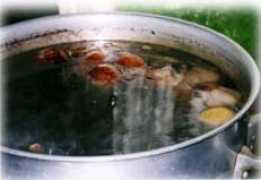 pippara.que.jp Pippara