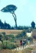 cameraconvista.net Pirandello