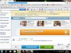 article.wn.com Piratex