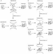 nature.com Pisabarro