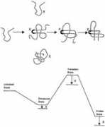 nature.com Pisabarro