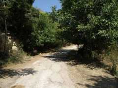 en.balcanica.info Pisanets