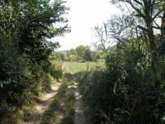 en.balcanica.info Pisanets