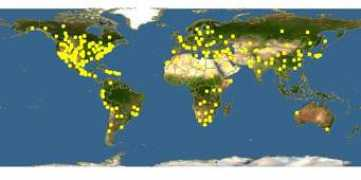 discoverlife.org Pisanty