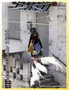 santacroceonline.com Piscone