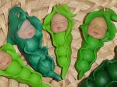 digilander.libero.it Pisellino