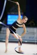 ukrsg.narod.ru Pisetsky