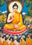 fleursdudharma.com Pitaka