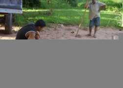 wackyarchives.com Piton