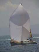 morsko-prase.hr Pivalica