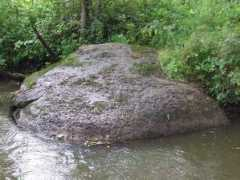 celteka.lf.lv Plakans