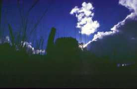 fotografia.ufrgs.br Platchek