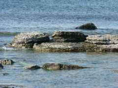 fotoakuten.se Platta