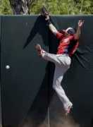 pennlive.com Pleffner