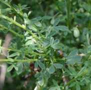 stadtteilarchiv-bramfeld.de Plezia