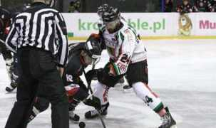 katowickisport.pl Plh