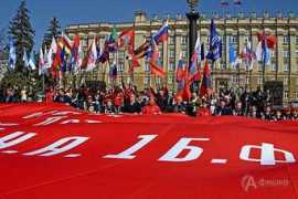 afishka31.ru Plish