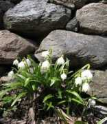 naturaosta.it Plout