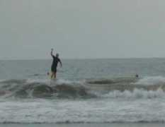 dragonpolo.com Plutto