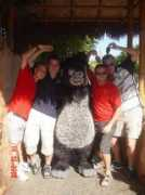 dragonpolo.com Plutto