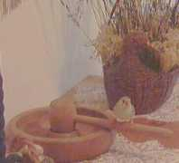 verdiardesia.com Poldina