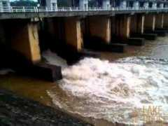 dinamina.lk Polgolla