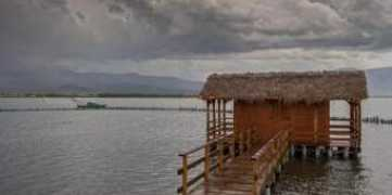 nikiforakis.com Polichronis