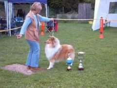 reinhard-collie.de Pollmer