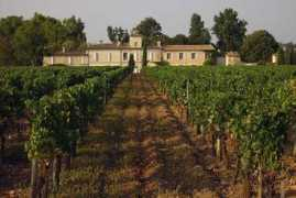 panoramio.com Pomerol