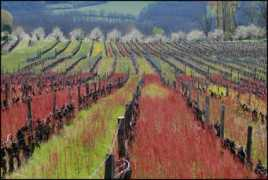 trekearth.com Pomport